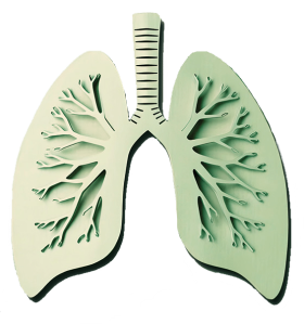 PREMIOS2025 Pulmones
